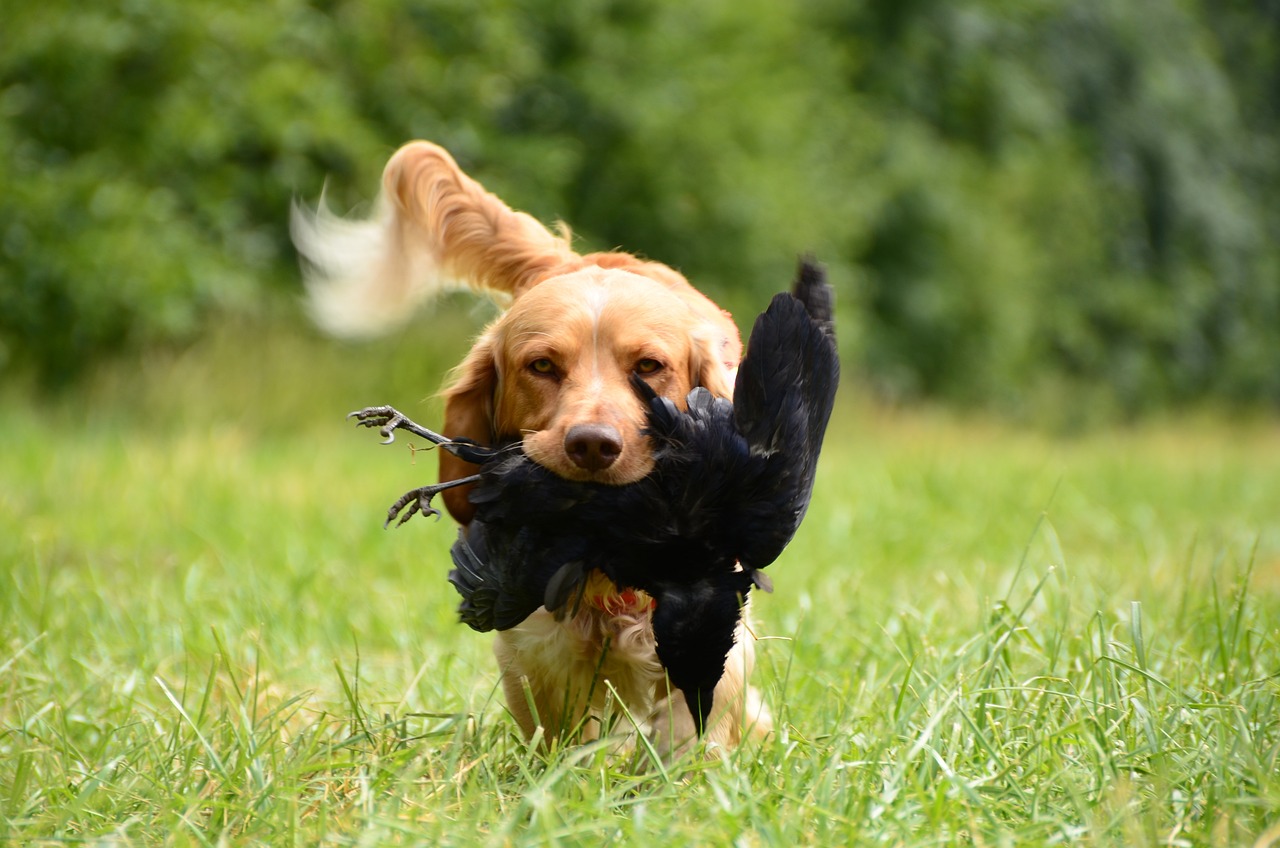 How to Turn Fear into Power with Self-Defense Training?